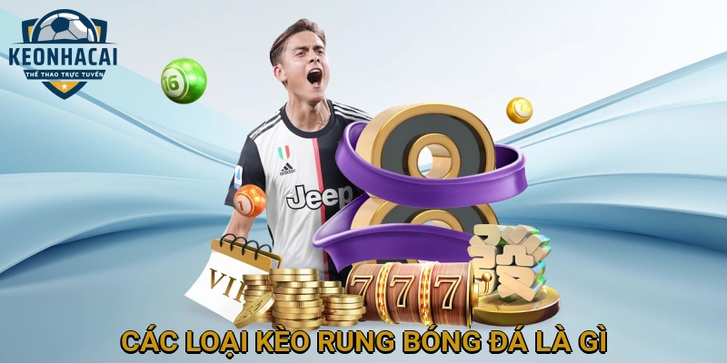 Các Loại Kèo Rung Bóng Đá Là Gì