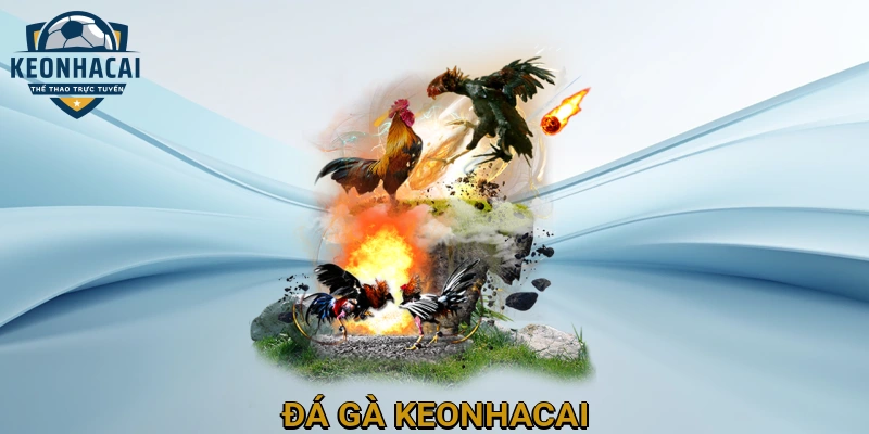Đá Gà Keonhacai