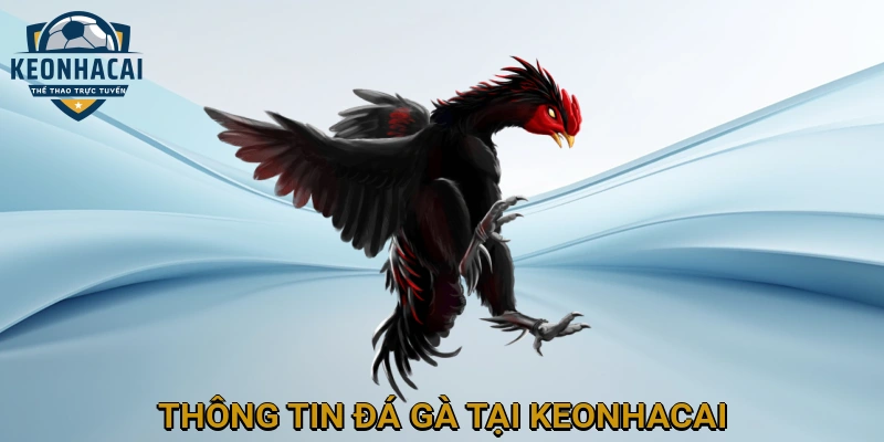 Thông tin Đá gà tại KEONHACAI