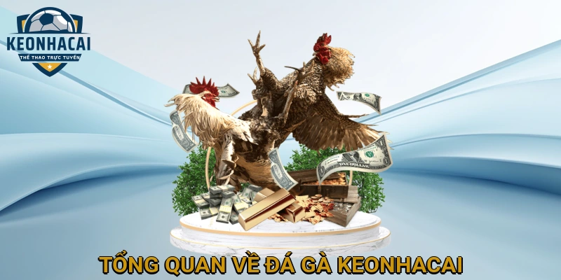 Tổng quan về Đá gà KEONHACAI