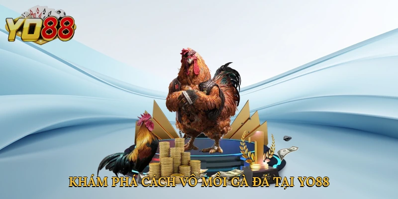 Khám phá cách vô mồi gà đá tại Yo88