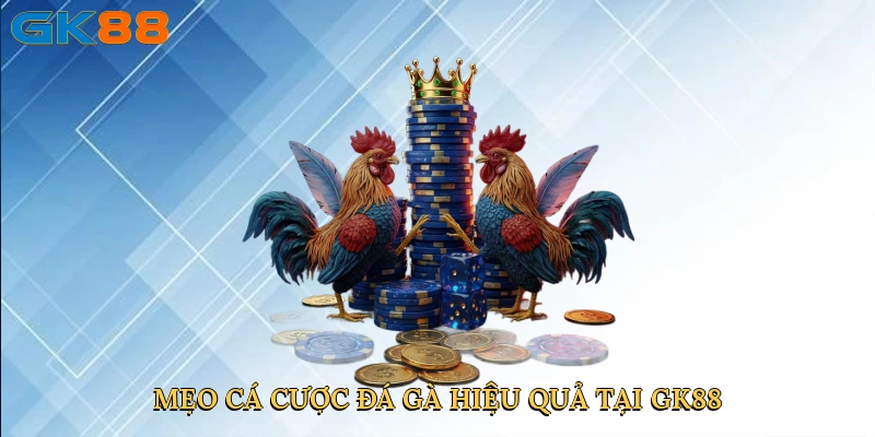 meo-ca-cuoc-da-ga-hieu-qua-tai-gk88-4