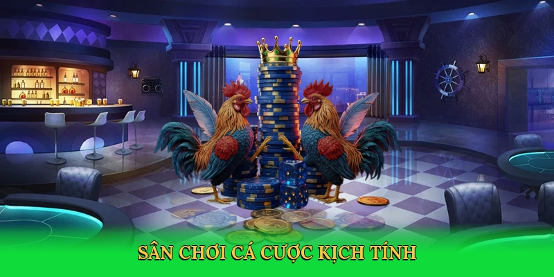 Sân chơi cá cược dành cho những tín đồ đam mê kịch tính