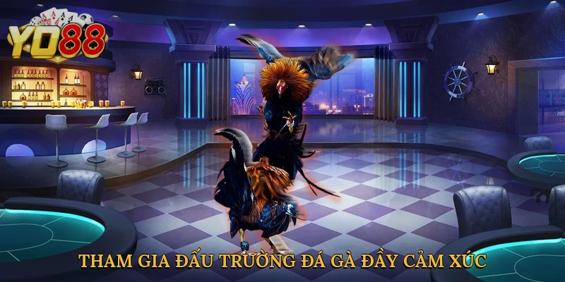 Tham gia đấu trường đá gà đầy cảm xúc