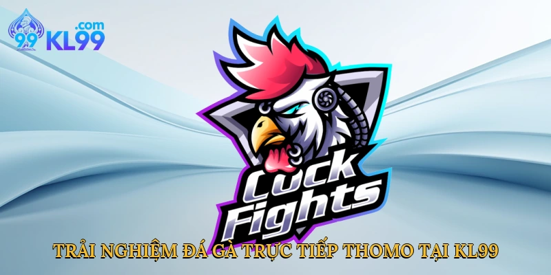Trải nghiệm đá gà trực tiếp Thomo tại KL99